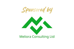 Meliora Consulting logo