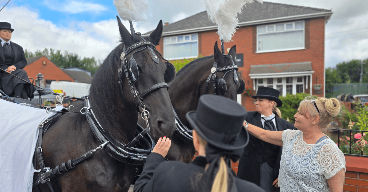 Image shows two black horses dressed up ready to draw the carriage for Wigan Business awards sponsors Vartys Funeral Directors